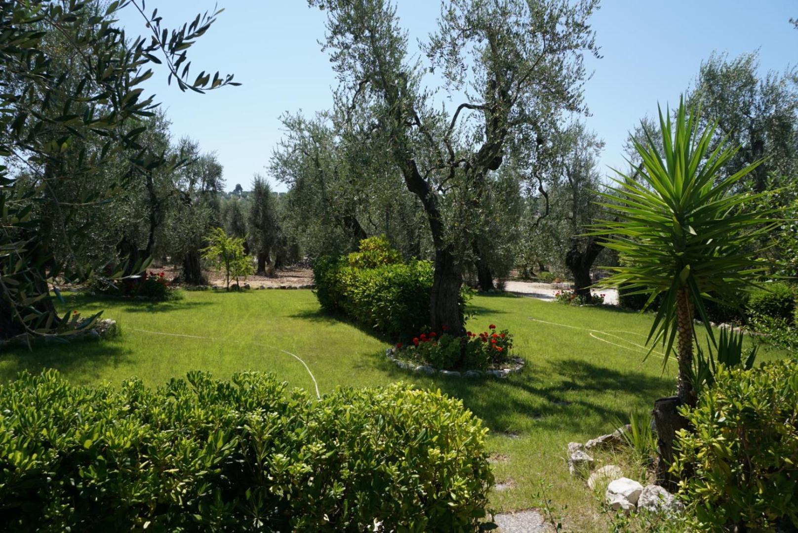 Residence Valleverde Вьесте Экстерьер фото