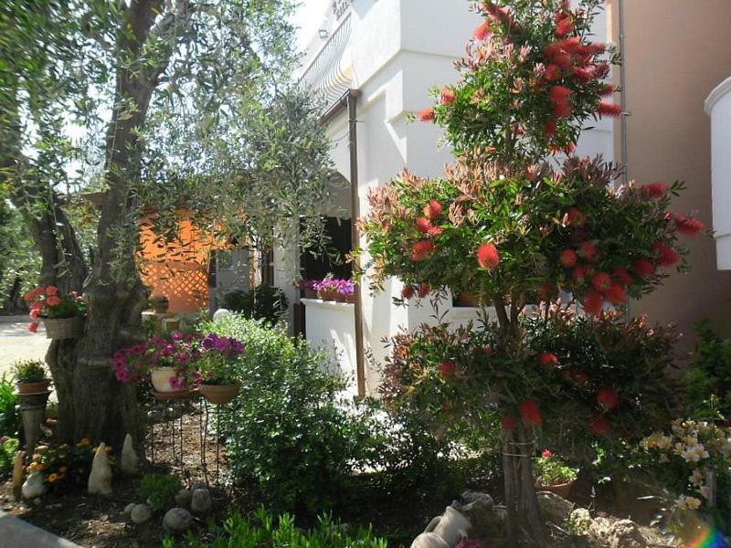 Residence Valleverde Вьесте Экстерьер фото